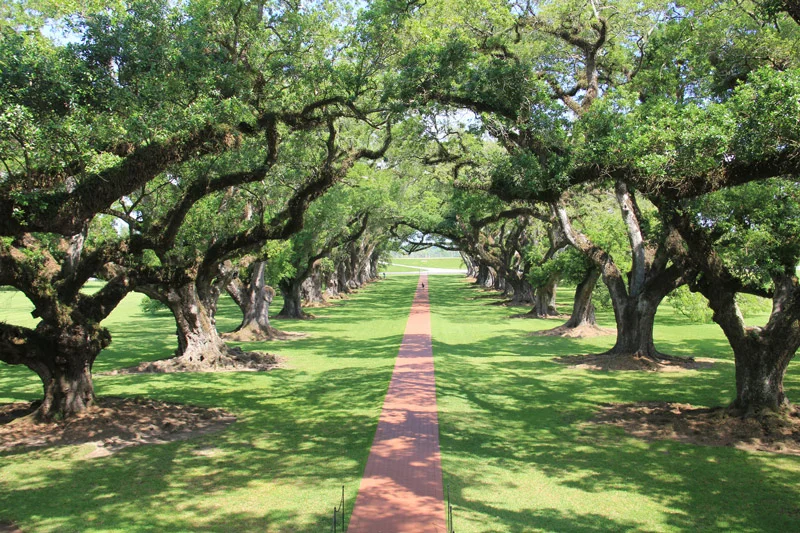 © Christian Stakelbeck